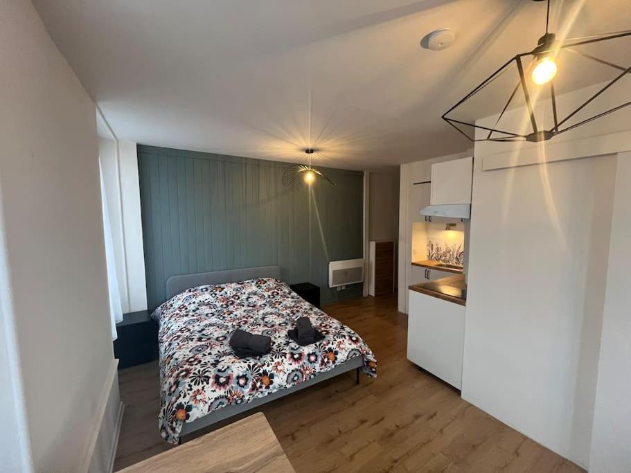 Apartment De Charme Dans Le Historique Du Grand *